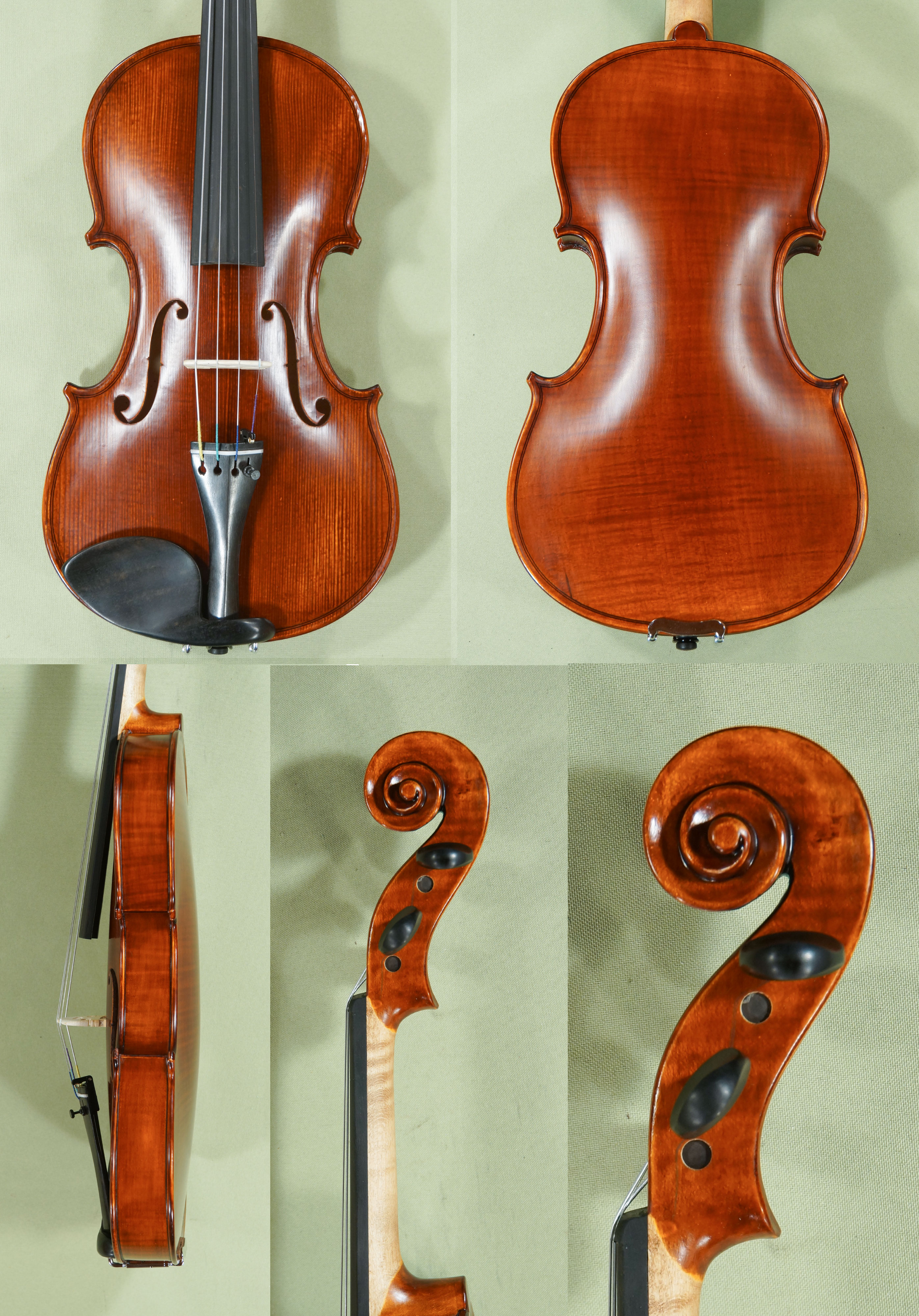 Antiqued 4/4 WORKSHOP GEMS 1 One Piece Back Violin  * Code: C9920