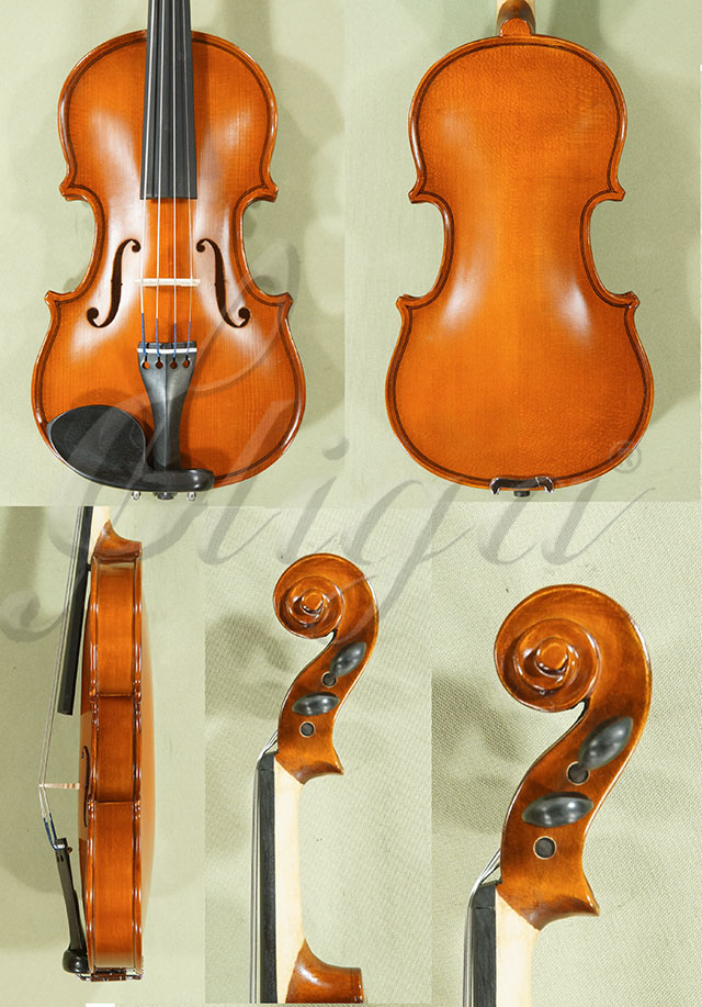 1/10 School GENIAL 1-Oil Violin * Code: D0015