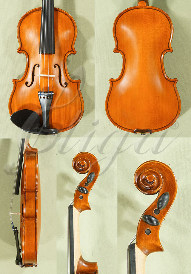 1/10 School GENIAL 1-Oil Violin  * Code: D0023