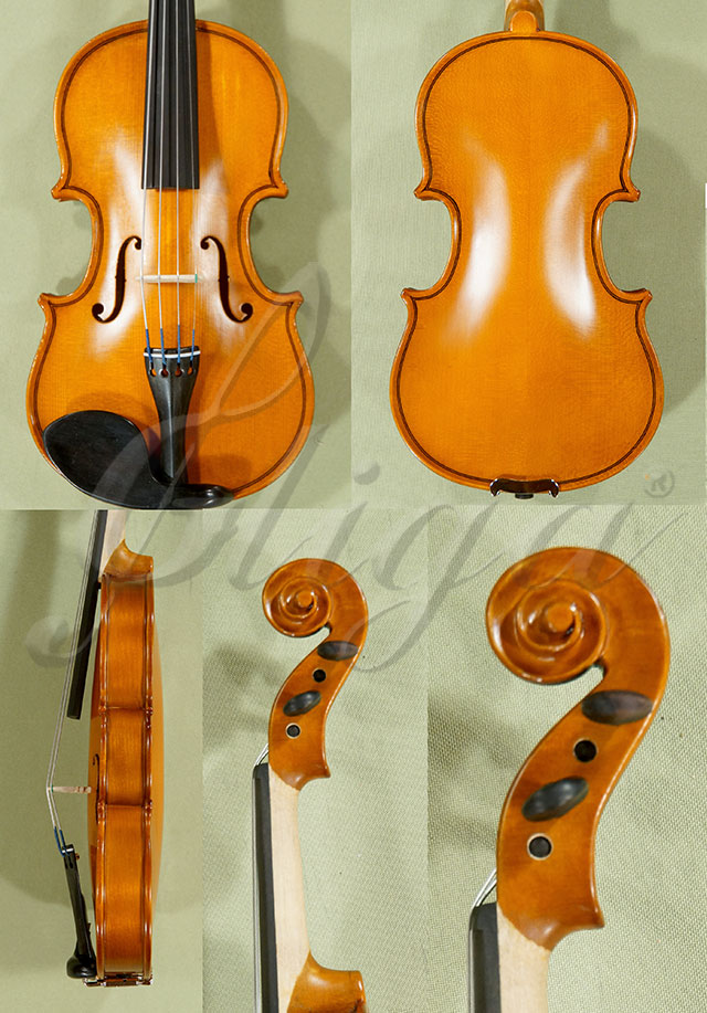 1/16 School GENIAL 1-Oil Violin  * Code: D0057