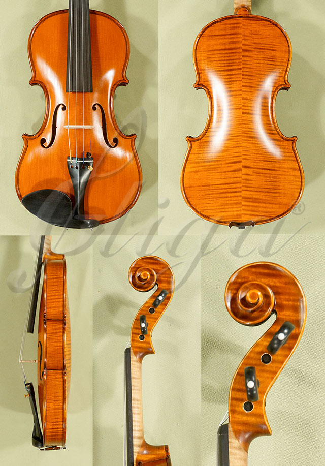 4/4 PROFESSIONAL GAMA Violin  * Code: D0082
