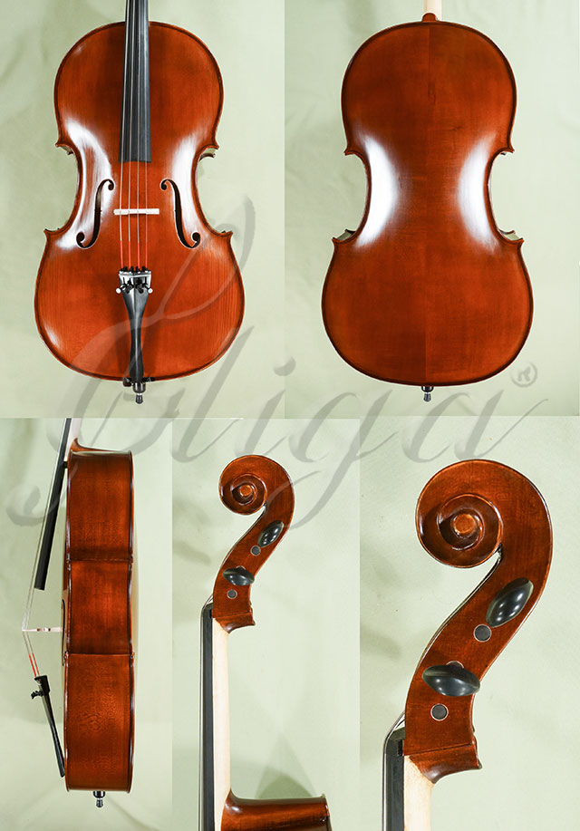4/4 School GENIAL 1-Oil Cello * Code: D0095