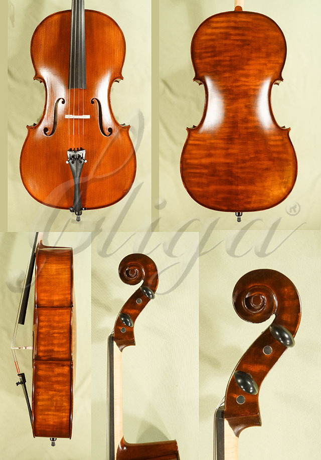 Stained Antiqued 4/4 Student GEMS 2 Cello  * Code: D0108