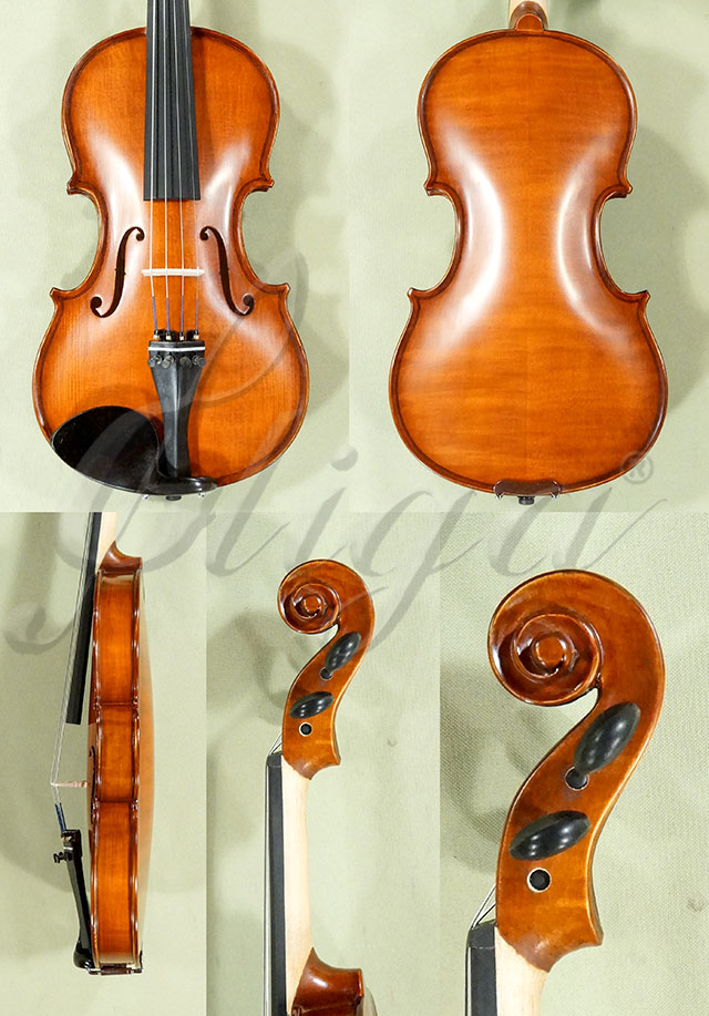 1/2 School GENIAL 1-Oil Violin  * Code: D0141