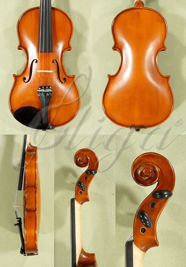 1/2 School GENIAL 1-Oil Violin  * Code: D0142