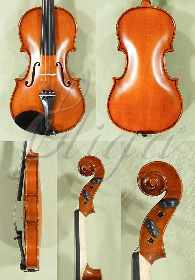1/2 School GENIAL 1-Oil Violin  * Code: D0143