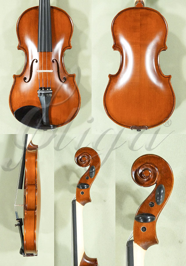 1/2 School GENIAL 1-Oil Violin  * Code: D0144