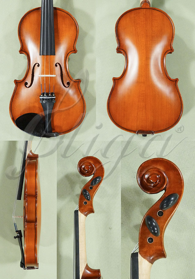 1/2 School GENIAL 1-Oil Violin  * Code: D0146