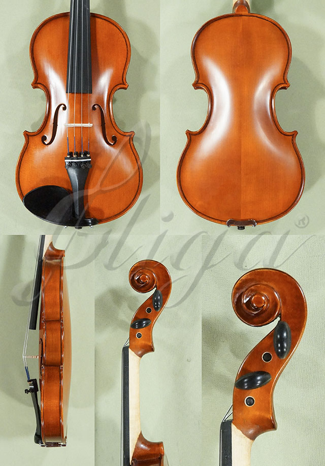 1/2 School GENIAL 1-Oil Violin  * Code: D0147