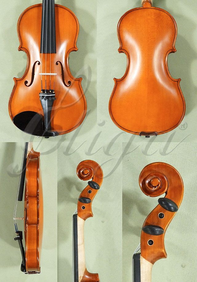 1/2 School GENIAL 1-Oil Violin  * Code: D0148
