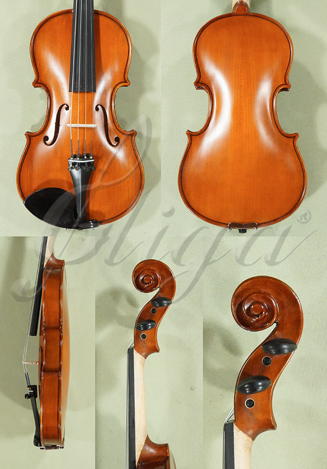 1/2 School GENIAL 1-Oil Violin  * Code: D0149