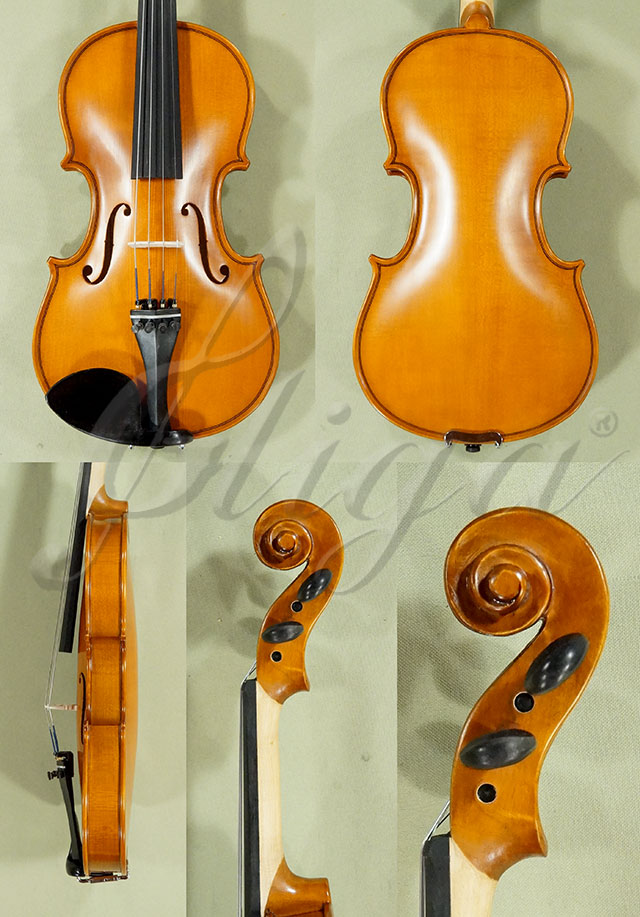 1/2 School GENIAL 1-Oil Violin  * Code: D0151