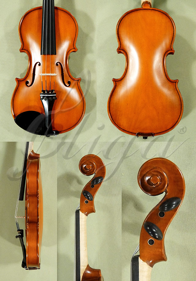 1/2 School GENIAL 1-Oil One Piece Back Violin  * Code: D0154