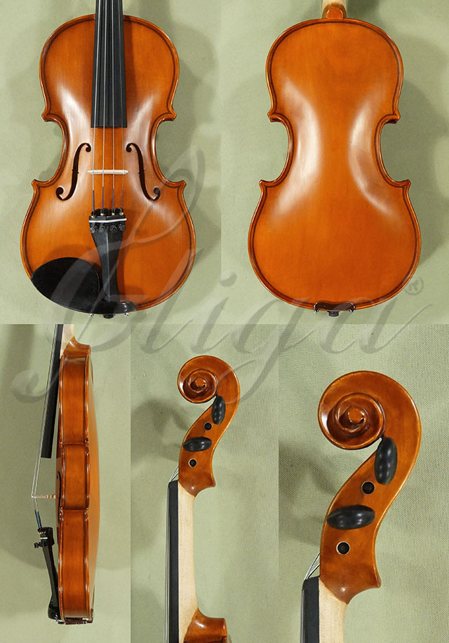 1/2 School GENIAL 1-Oil One Piece Back Violin  * Code: D0155