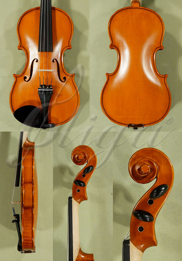 1/2 School GENIAL 1-Oil One Piece Back Violin  * Code: D0156