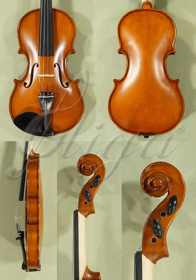 1/2 School GENIAL 1-Oil One Piece Back Violin  * Code: D0157