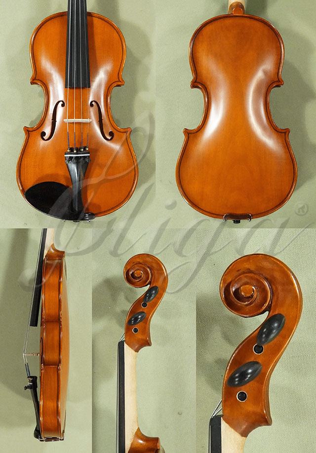 1/2 School 'GENIAL 1-Oil' One Piece Back Violin * Code: D0158