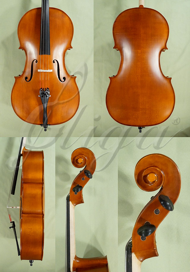4/4 School GENIAL 1-Oil Cello  * Code: D0181