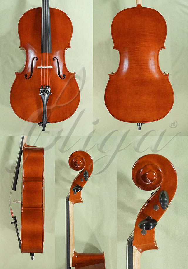 3/4 School Genial 2 - Laminated Playwood Cello * Code: D0184