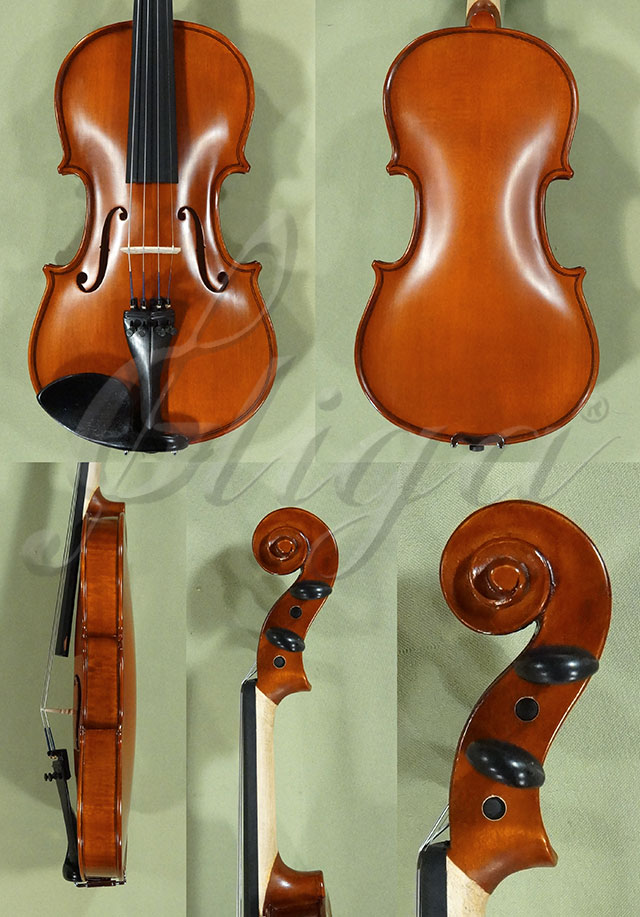 3/4 School GENIAL 1-Oil Violin  * Code: D0216