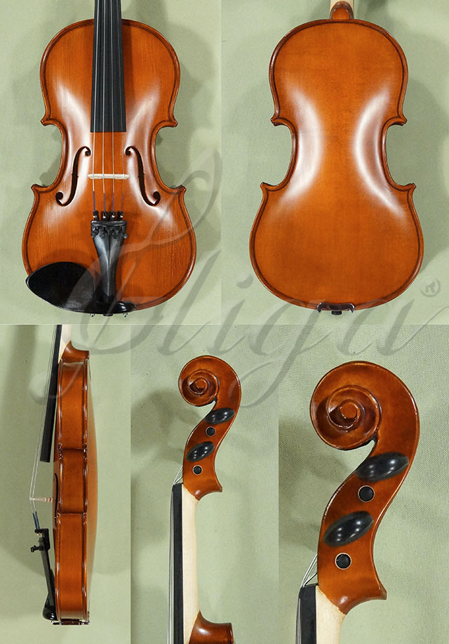 3/4 School GENIAL 1-Oil Violin  * Code: D0218