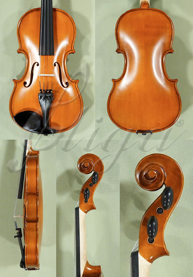 3/4 School GENIAL 1-Oil Violin  * Code: D0219
