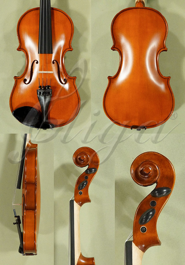 3/4 School GENIAL 1-Oil Violin  * Code: D0220