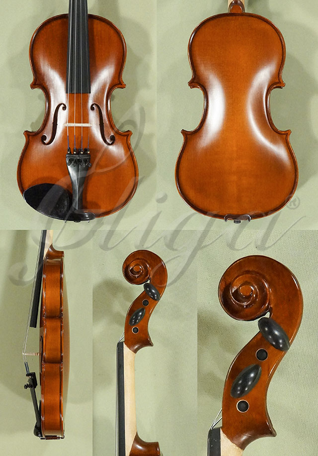 3/4 School GENIAL 1-Oil Violin  * Code: D0222