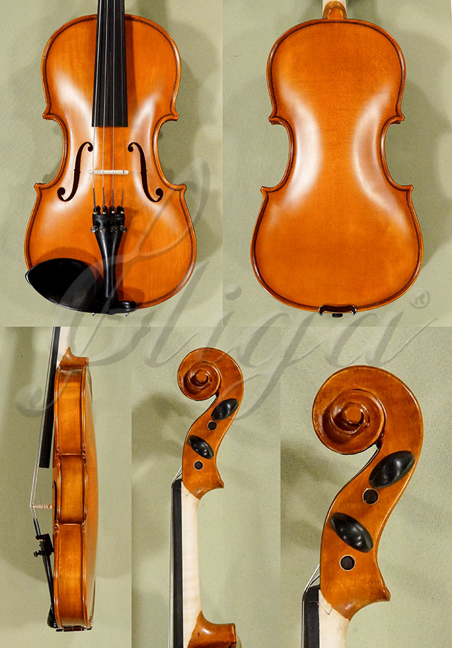 Antiqued 3/4 School GENIAL 1-Oil Violin  * Code: D0225