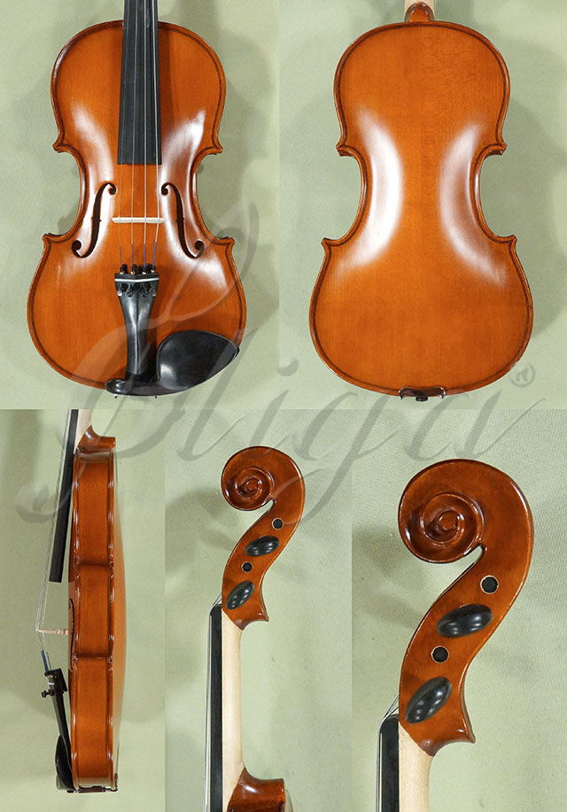 4/4 School GENIAL 1-Oil Left Handed Violin  * Code: D0248