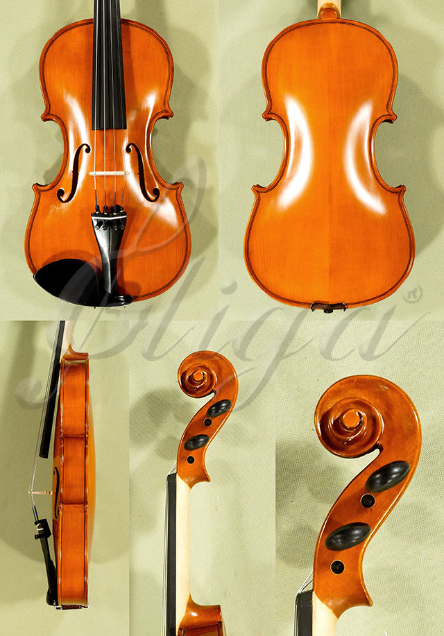 4/4 School GENIAL 1-Oil Violin * Code: D0254