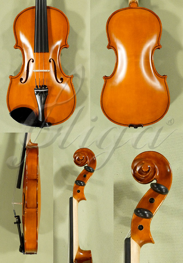 4/4 School GENIAL 1-Oil Violin * Code: D0258