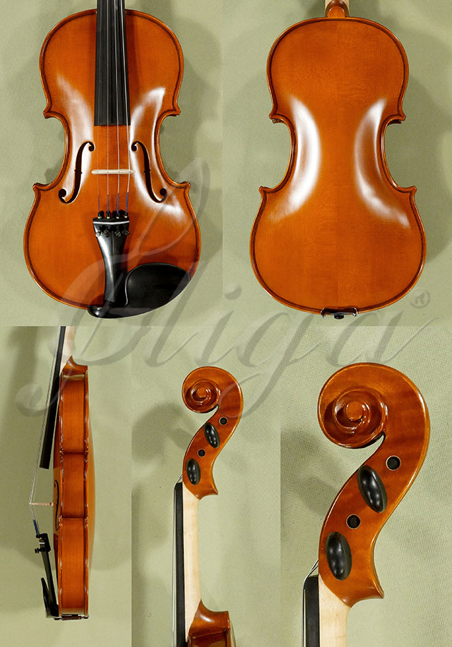 4/4 School GENIAL 1-Oil Left Handed Violin  * Code: D0261