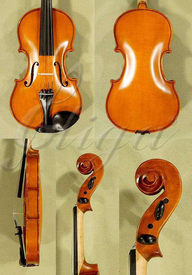 4/4 School GENIAL 1-Oil Left Handed Violin  * Code: D0263