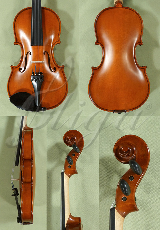 3/4 School GENIAL 1-Oil Violin  * Code: D0279