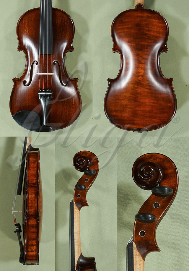 Stained Antiqued 4/4 Student GEMS 2 One Piece Back Violin  * Code: D0282