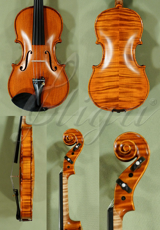 1/2 PROFESSIONAL GAMA Violin * Code: D0286