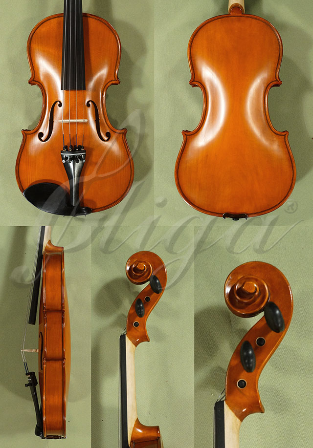 4/4 School GENIAL 1-Oil Poplar One Piece Back Violin * Code: D0295
