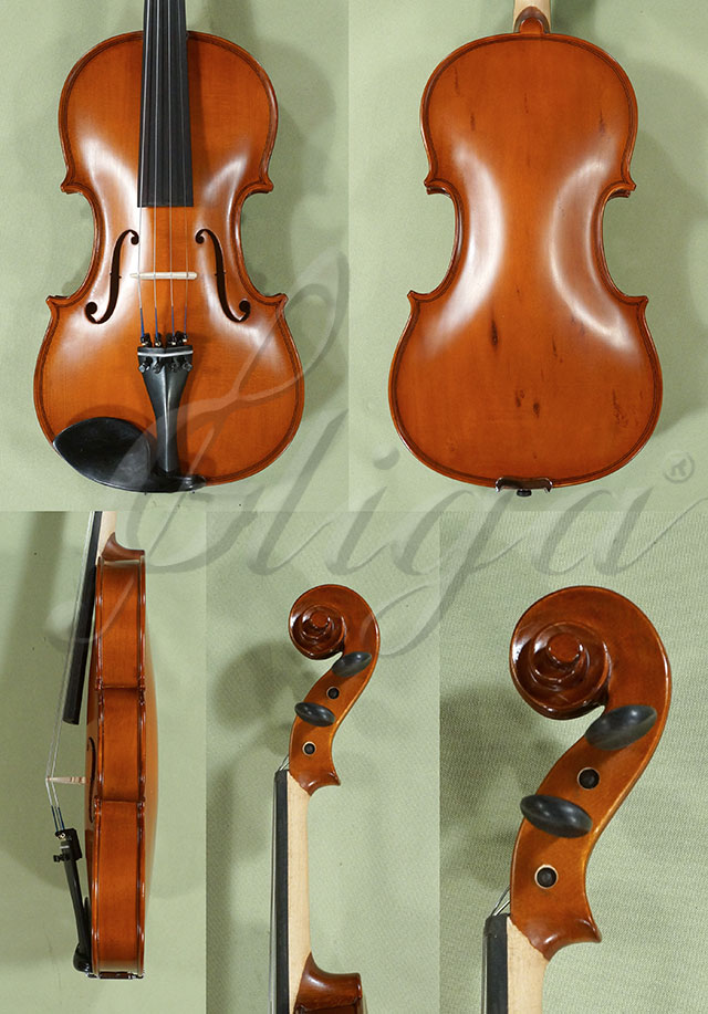 4/4 School GENIAL 1-Oil Poplar One Piece Back Violin  * Code: D0296