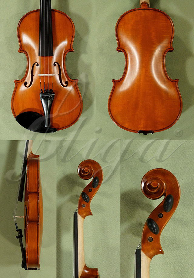 4/4 School GENIAL 1-Oil Willow Violin * Code: D0297