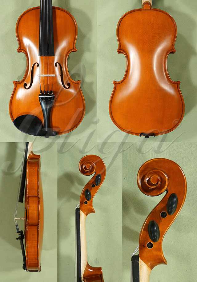4/4 School GENIAL 1-Oil One Piece Back Violin  * Code: D0301