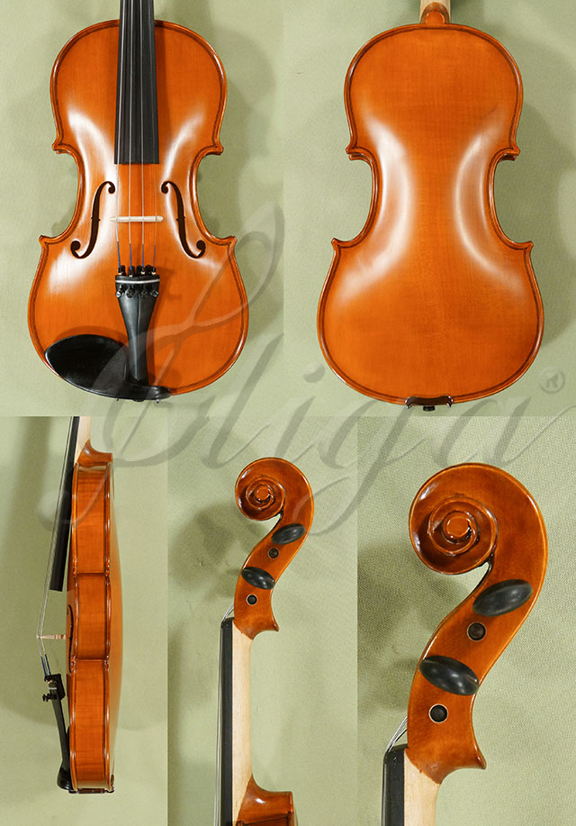 4/4 School GENIAL 1-Oil One Piece Back Violin  * Code: D0302