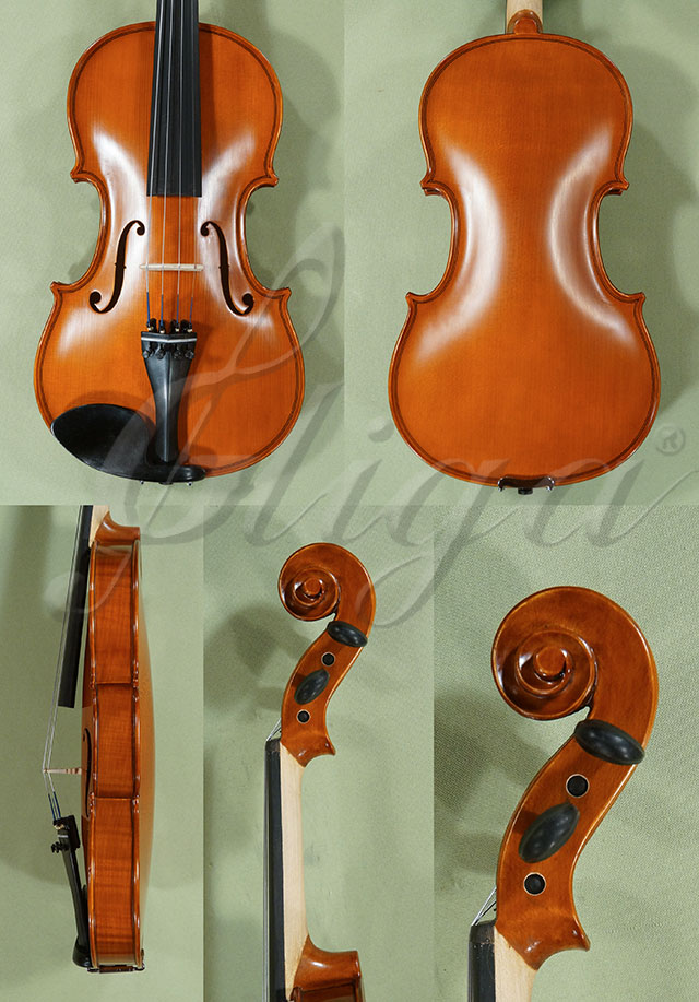 4/4 School GENIAL 1-Oil One Piece Back Violin  * Code: D0303