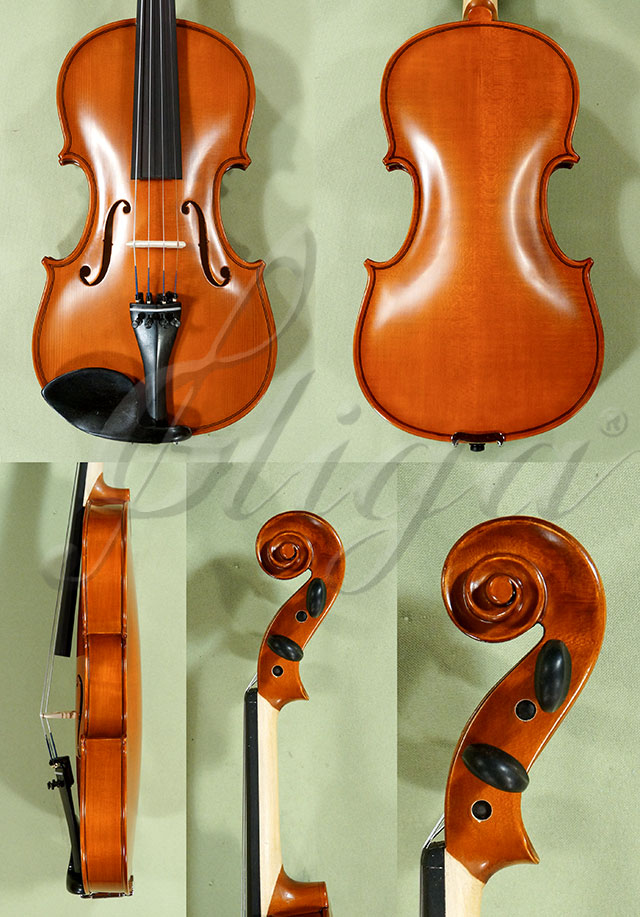 4/4 School GENIAL 1-Oil Violin * Code: D0304