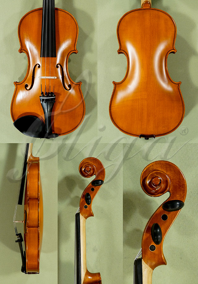 4/4 School GENIAL 1-Oil Violin * Code: D0305