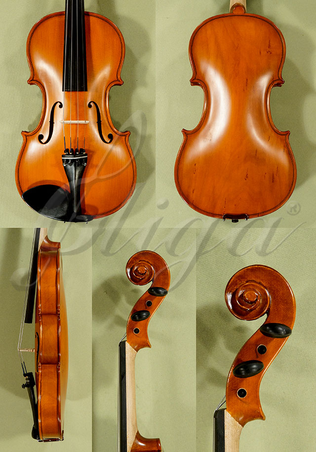 4/4 School 'GENIAL 1-Oil' Poplar One Piece Back Violin * Code: D0311