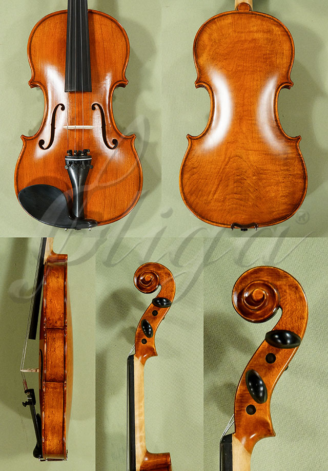Antiqued 4/4 Student GEMS 2 One Piece Back Violin  * Code: D0316