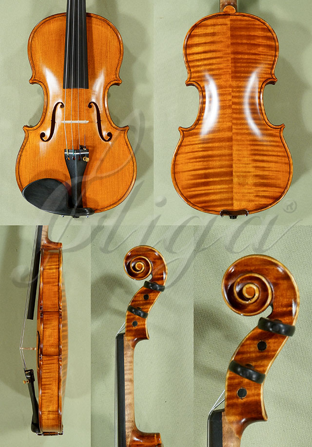 1/2 PROFESSIONAL GAMA Violin * Code: D0347