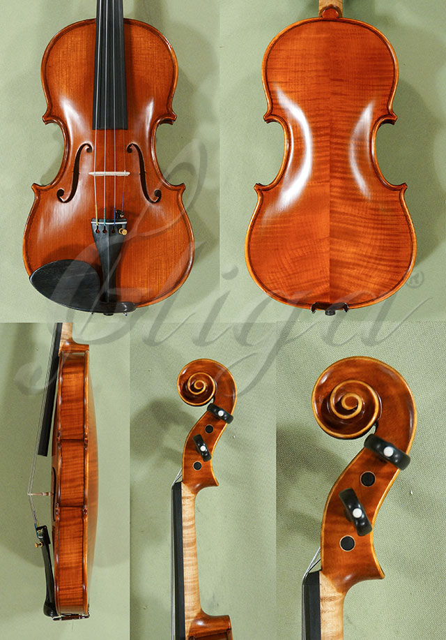 Antiqued 3/4 PROFESSIONAL GAMA Violin  * Code: D0372