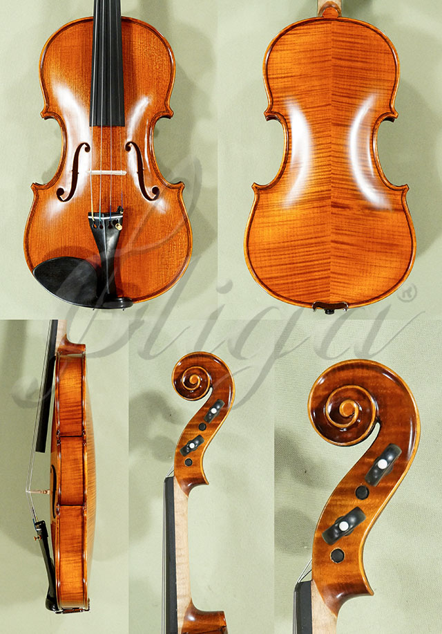 Antiqued 4/4 PROFESSIONAL GAMA Violin  * Code: D0387